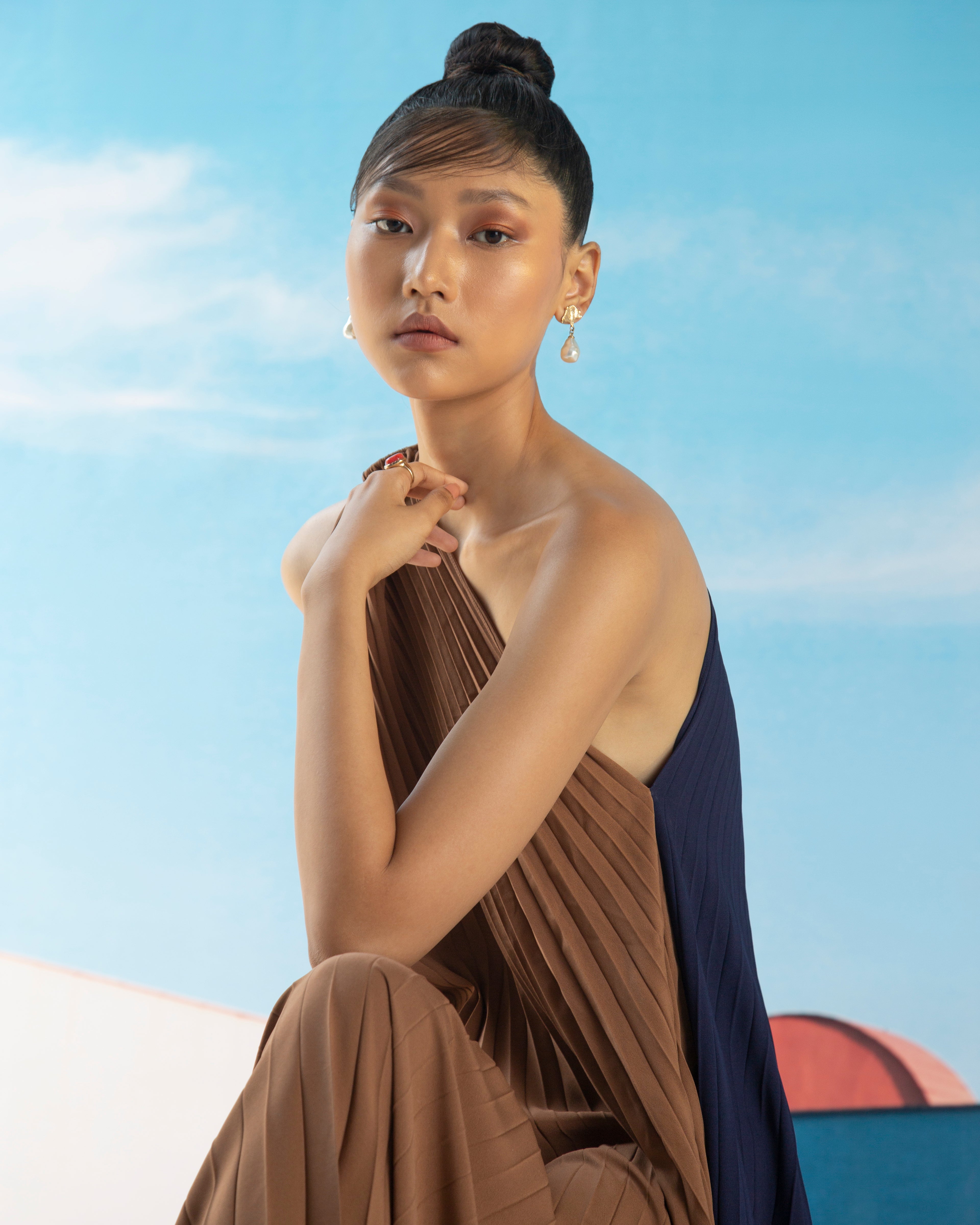 BLUE BROWN RING PLEATED DRESS